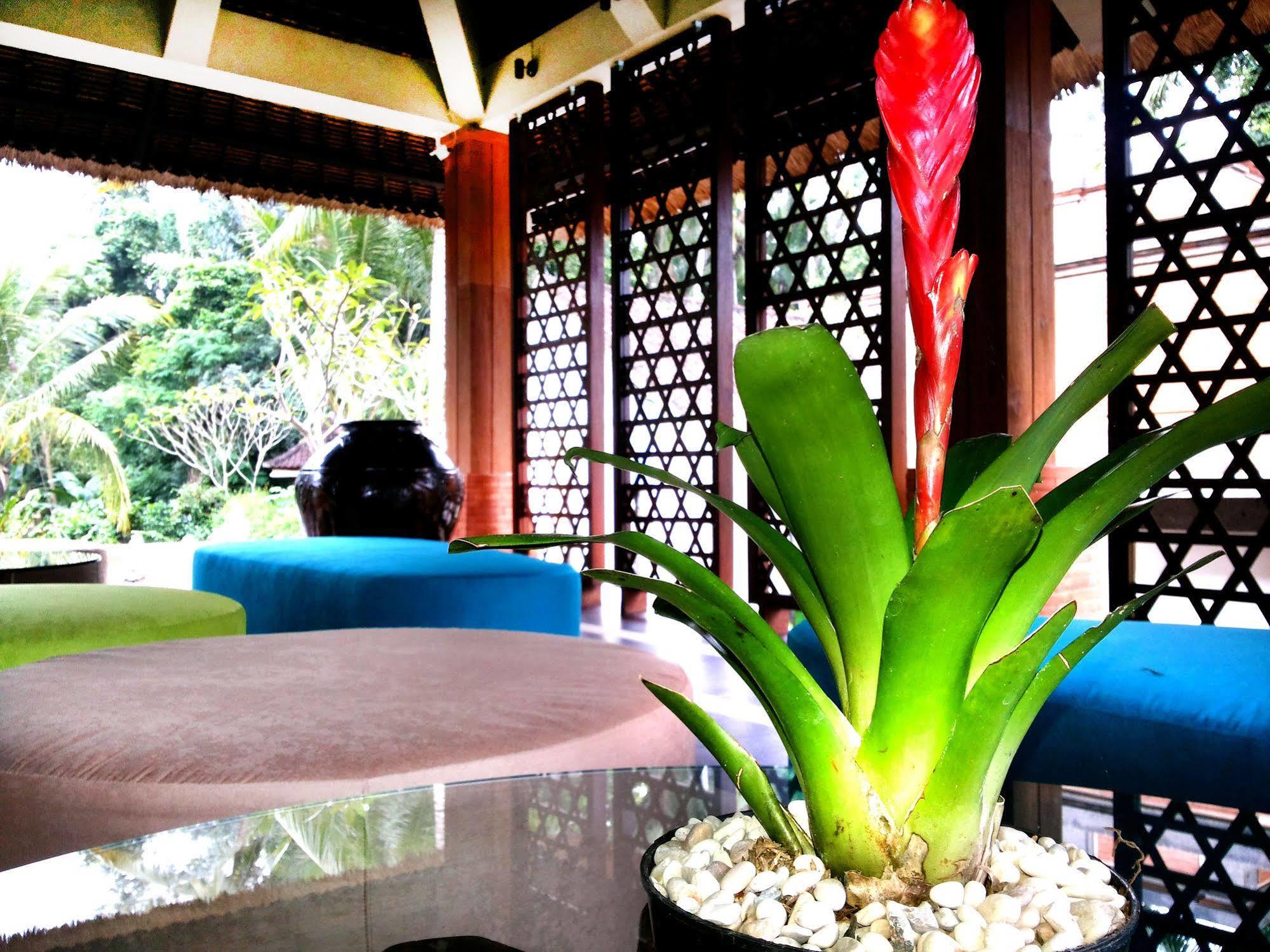 Full Moon Villa Ubud Extérieur photo